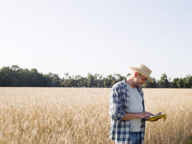Uomo in piedi nel campo di grano utilizzando una tavoletta digitale — Foto stock