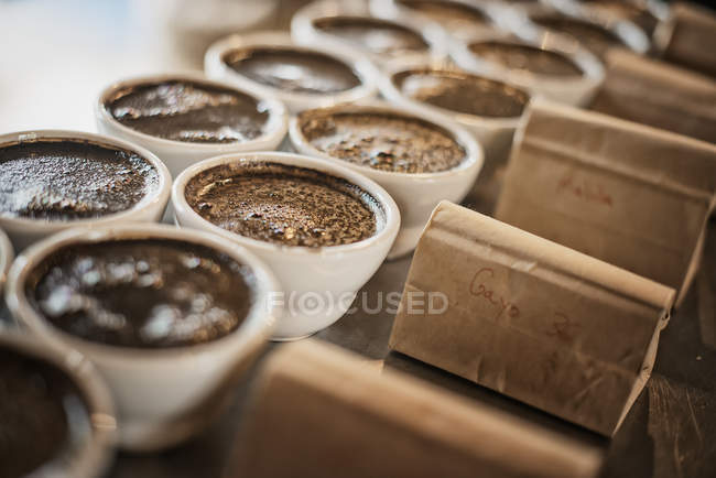 Procedimiento de muestreo en un cobertizo de procesamiento de café - foto de stock