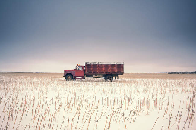 Camión de granja en un campo de rastrojos - foto de stock
