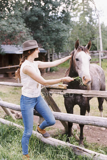 Mujer alimentando a un caballo - foto de stock