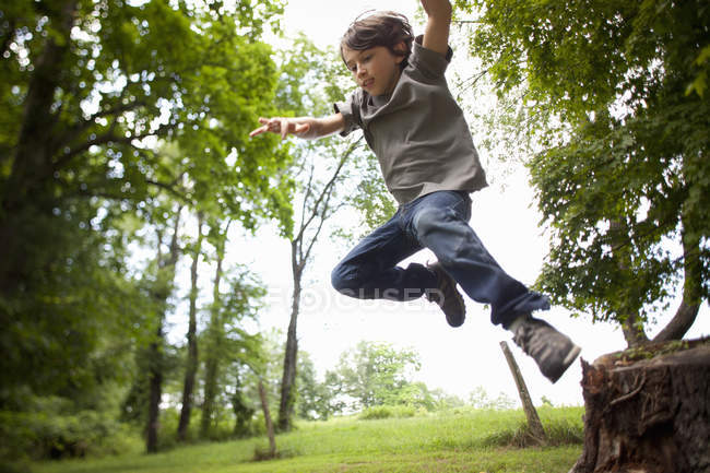 Хлопчик стрибає з дерева — стокове фото