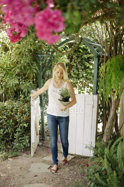 Woman carrying a plant pot. — Stock Photo