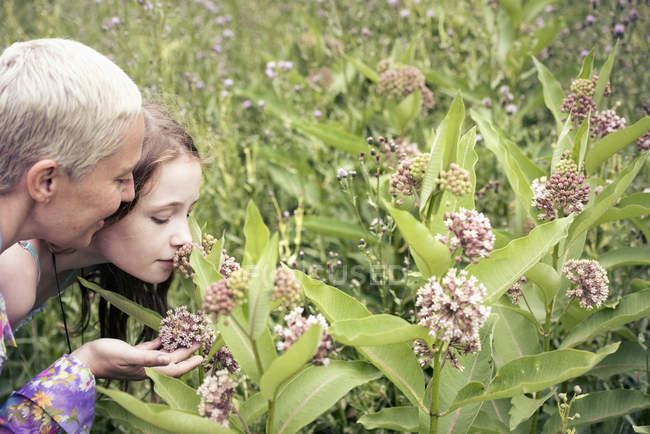 Mulher e menina em um prado de flores silvestres — Fotografia de Stock