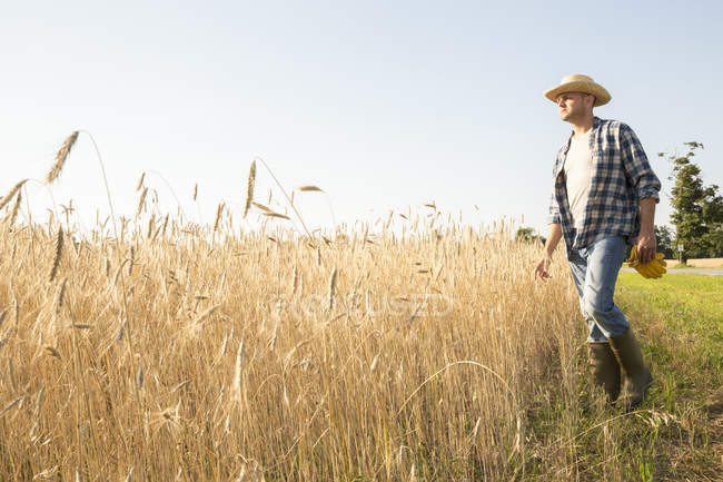 Agricoltore in piedi in un campo di grano — Foto stock