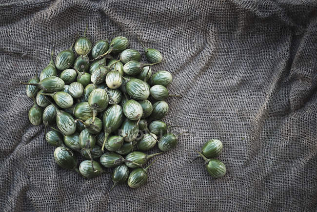 Aubergines biologiques ; Haricots verts — Photo de stock