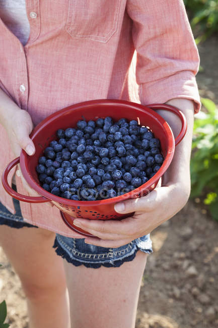 Mädchen mit geernteten Blaubeeren-Früchten. — Stockfoto