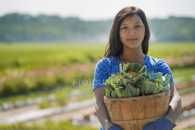 Jovem mulher em um campo — Fotografia de Stock