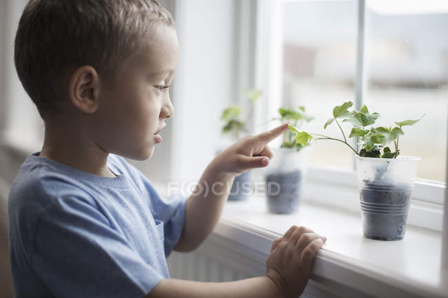 Хлопчик дивлячись на молоді рослини — стокове фото