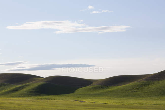 Rolling green hills — Stock Photo