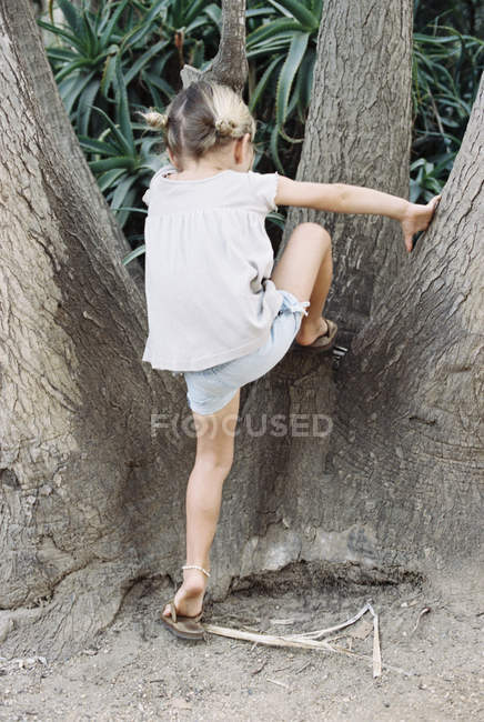 Blonde fille aux cheveux grimpant un arbre — Photo de stock