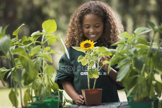 Mädchen untersucht eine Sonnenblumenpflanze — Stockfoto