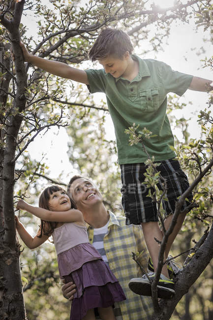 Duas crianças escalando árvores — Fotografia de Stock