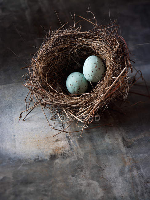 Zwei kleine türkisfarbene Eier. — Stockfoto
