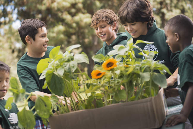 Niños aprendiendo sobre plantas y flores - foto de stock