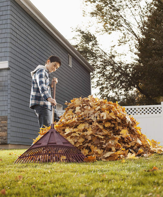 Boy raking autumn leaves. — Stock Photo