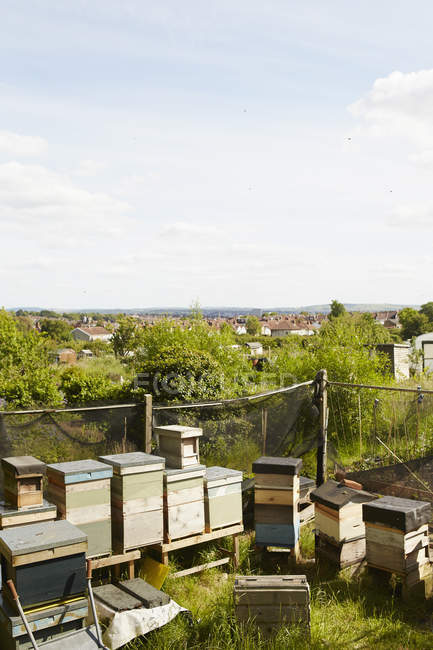 Sammlung von Bienenstöcken in der Ecke — Stockfoto
