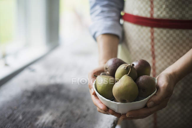 Person hält eine Schale mit Bio-Früchten in der Hand — Stockfoto