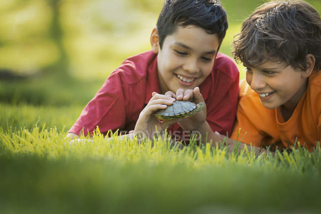 Meninos segurando uma pequena tartaruga . — Fotografia de Stock
