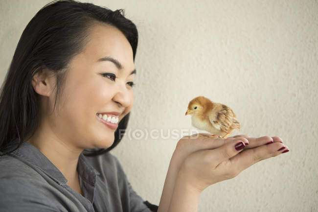 Mujer sosteniendo un pequeño polluelo - foto de stock