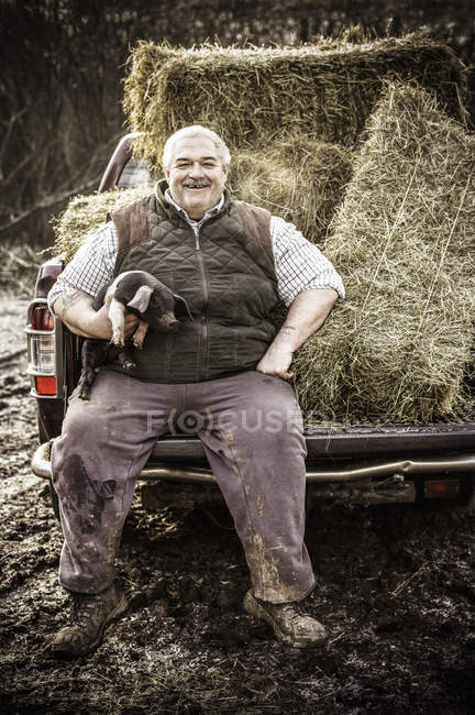 Фермер держит поросенка и улыбается — стоковое фото
