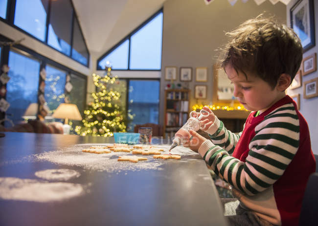 Chico decorando galletas de Navidad - foto de stock