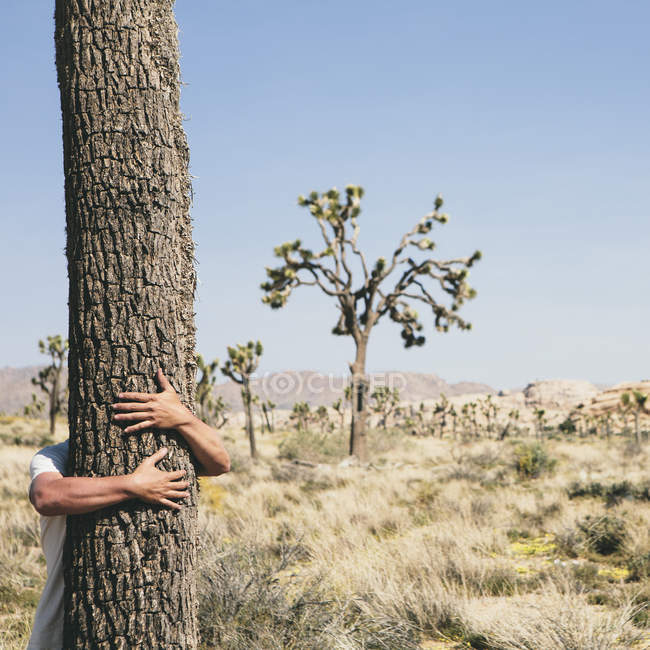 Людина обійматися дерево — стокове фото