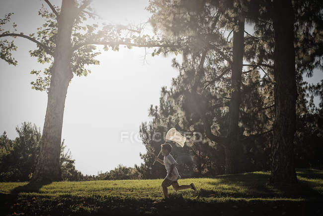 Junge läuft mit einem Schmetterlingsnetz. — Stockfoto