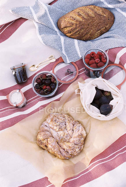 Cibo su una coperta da picnic — Foto stock