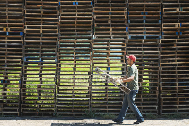 Uomo che trasporta un telaio in legno — Foto stock