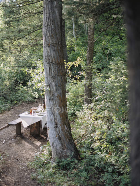 Стол для пикника на лесной поляне . — стоковое фото