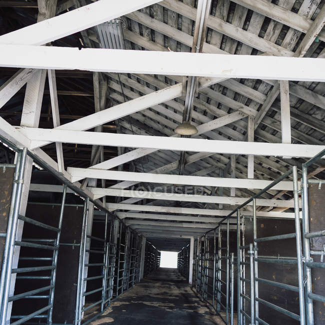 Interior de un establo de vacas - foto de stock