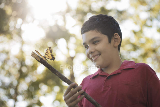 Junge hält einen Stock mit einem bunten Schmetterling — Stockfoto