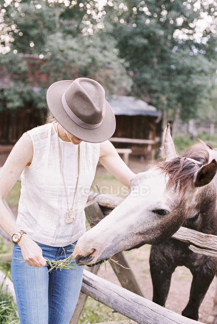 Mulher alimentando um cavalo — Fotografia de Stock