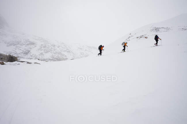 Три лижника піднімаються на хребет — стокове фото