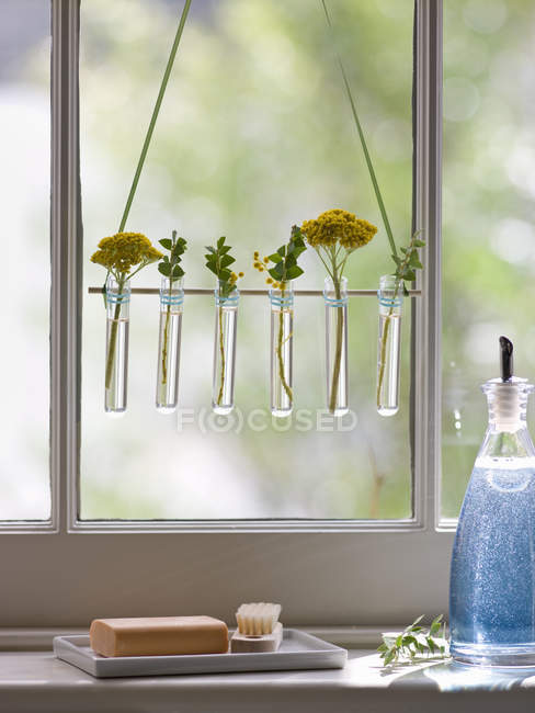 Rangée de petits vases en verre — Photo de stock