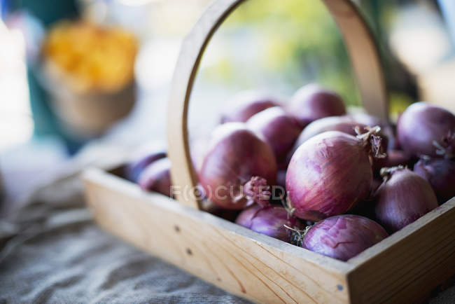Cebollas rojas orgánicas - foto de stock