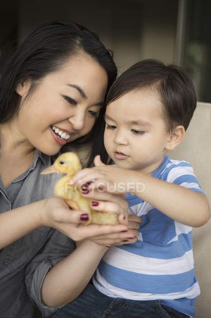 Woman holding a yellow duckling — Stock Photo