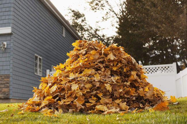 Pile de feuilles d'automne dans une cour . — Photo de stock
