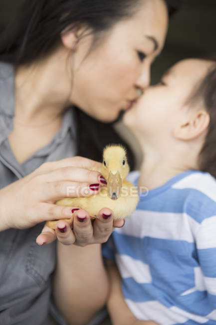 Woman holding a yellow duckling — Stock Photo
