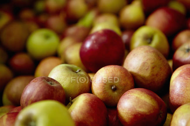 Яблоки с красной оранжевой и зеленой кожей — стоковое фото
