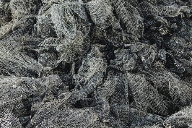 Сітки, що використовуються для молюсків аквакультури — стокове фото