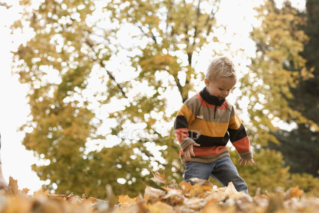 Garçon jouer dans les feuilles d'automne. — Photo de stock