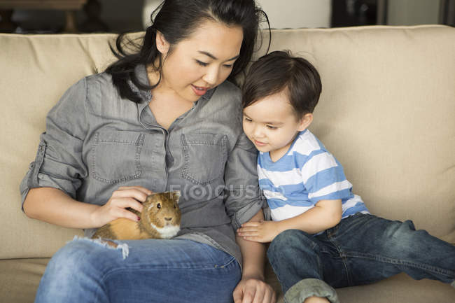 Женщина сидит с подопытным кроликом — стоковое фото