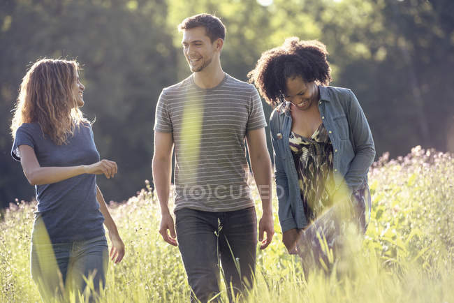 Чоловік і дві жінки ходять на лузі — стокове фото