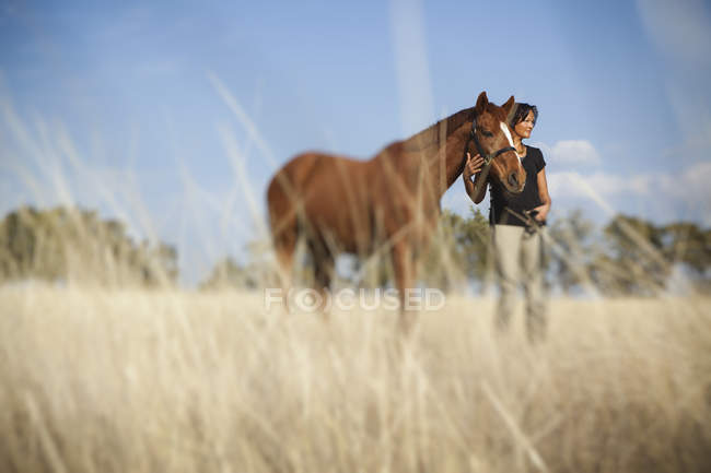 Mulher líder cavalo — Fotografia de Stock