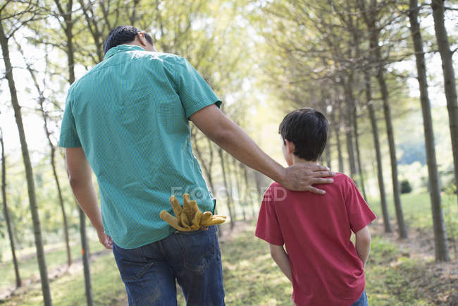 Чоловік і хлопчик ходять по проспекту дерев . — стокове фото