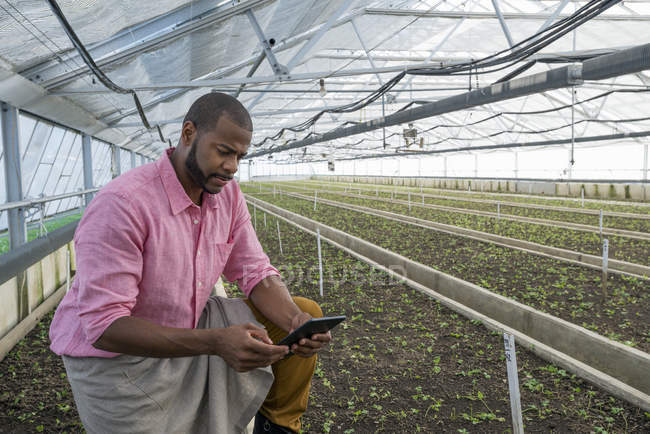Homem em um viveiro de plantas com tablet digital . — Fotografia de Stock