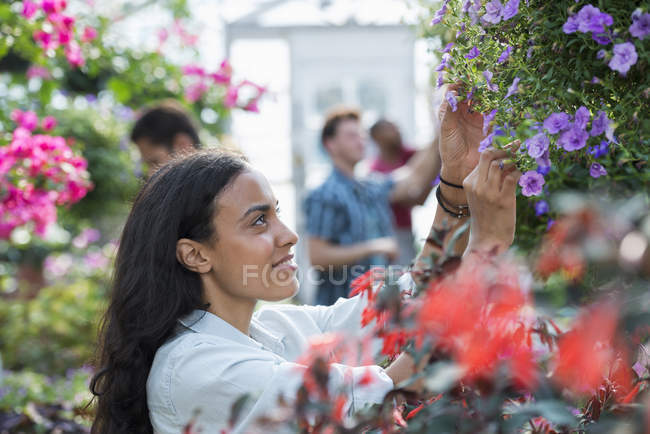 Persone che lavorano in un vivaio di piante — Foto stock