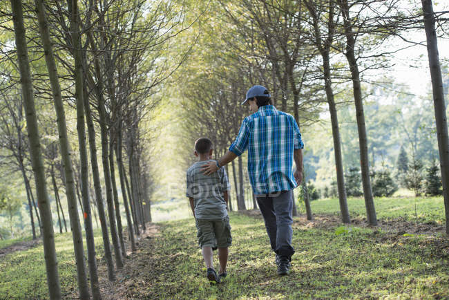 Man and boy walking on avenue of trees. — Stock Photo