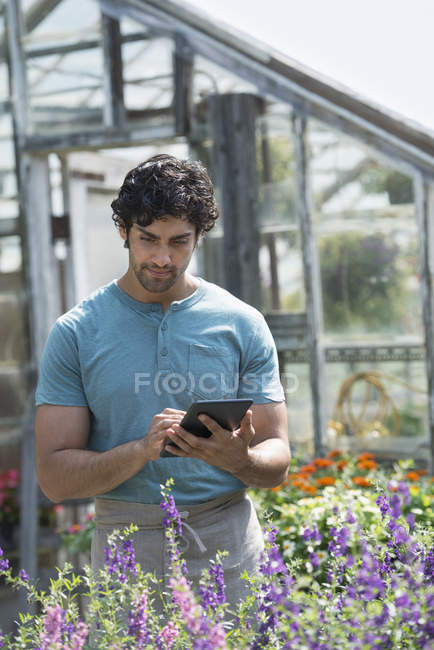 Homem trabalhando em um viveiro de plantas — Fotografia de Stock